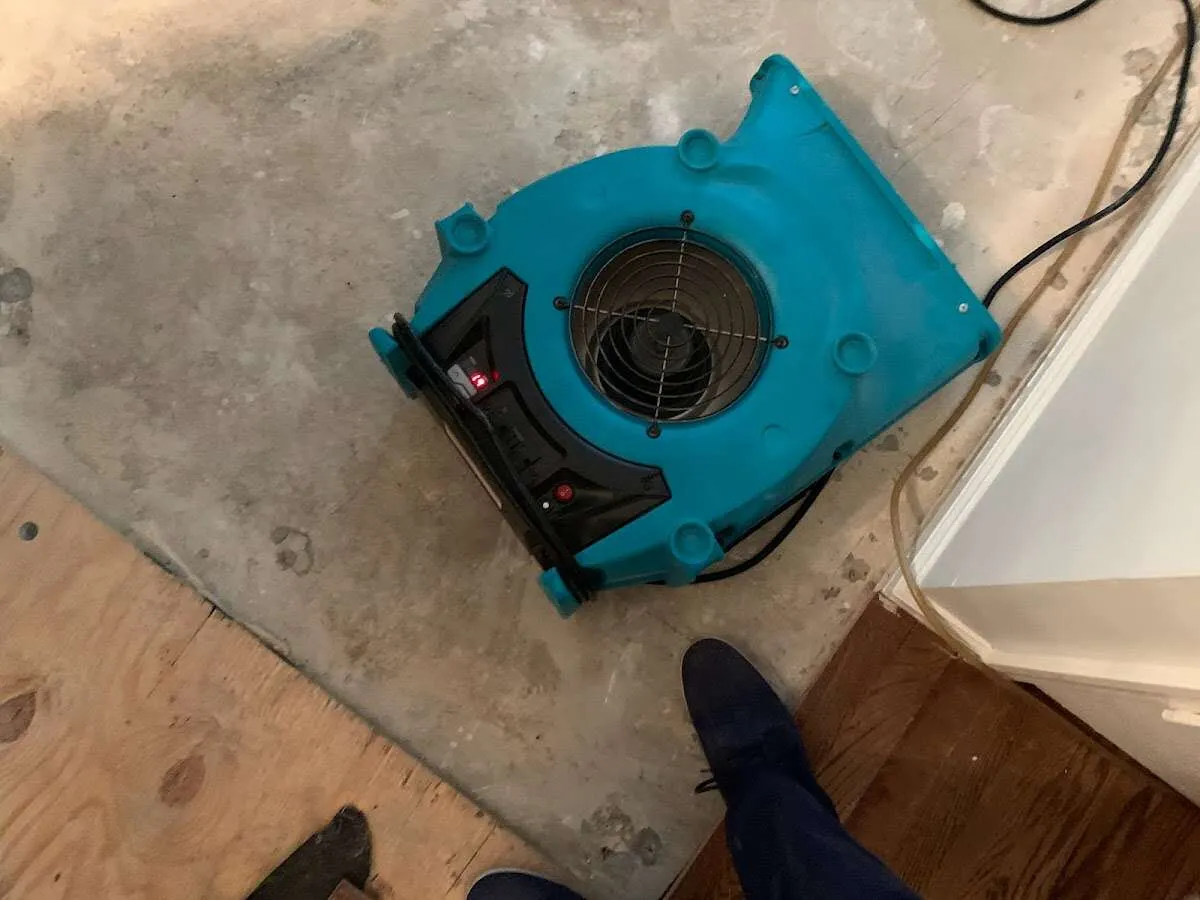 Air mover drying subfloor during Leak Detection & Repair in Olive